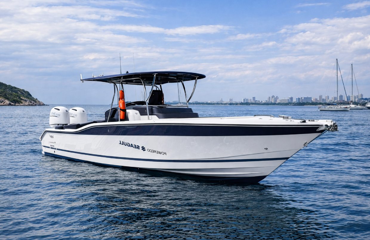 Seagull-925-CC.jpg
